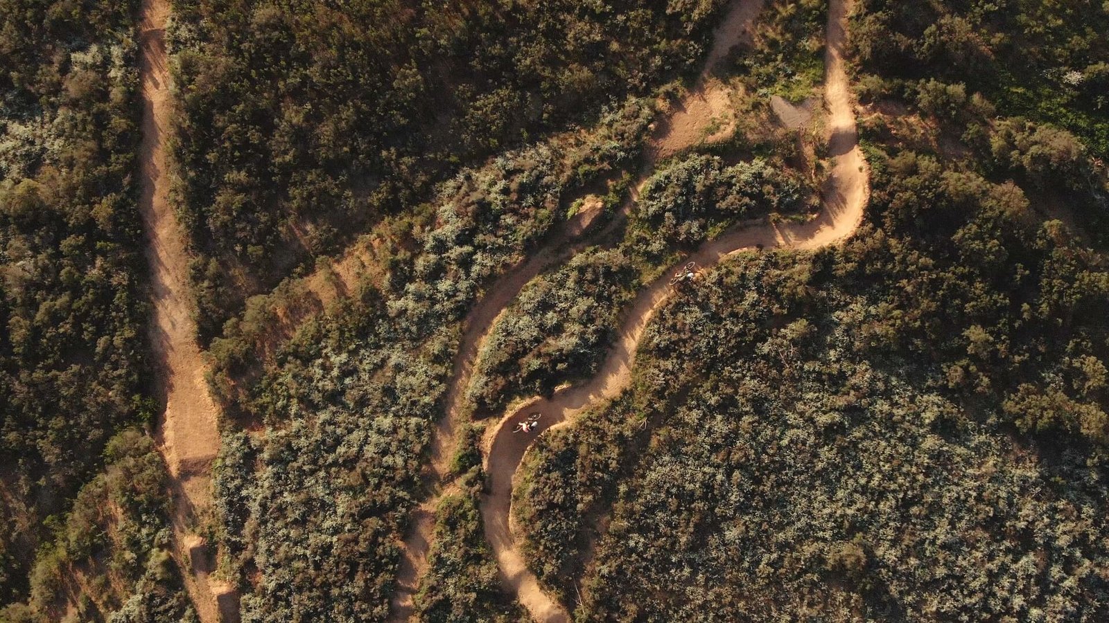 Mountain biker on a trail in Stellenbosch, South Africa, surrounded by fynbos and mountain scenery